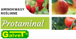Protaminal - biostymulator na bazie aminokwasów roślinnych - 10L